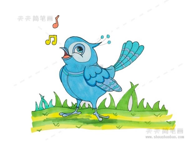 喜鹊简笔画,喜鹊简笔画彩色,喜鹊简笔画步骤