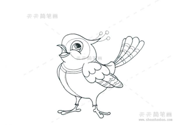 喜鹊简笔画,喜鹊简笔画彩色,喜鹊简笔画步骤