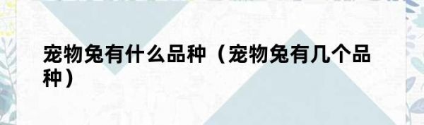 宠物兔有什么品种（宠物兔有几个品种）