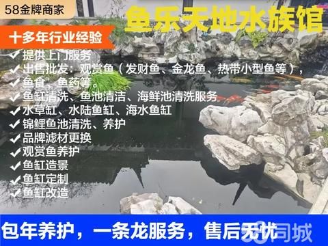 吴中区郭巷东方商城鱼乐天地水族馆·观赏鱼出售，苏州鱼乐天地水族馆 专业鱼池养护，销售