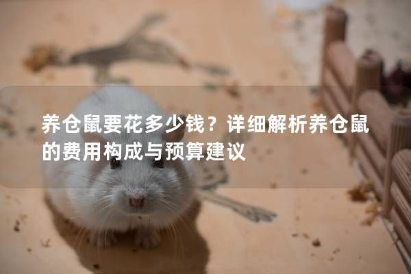 养仓鼠要花多少钱？详细解析养仓鼠的费用构成与预算建议