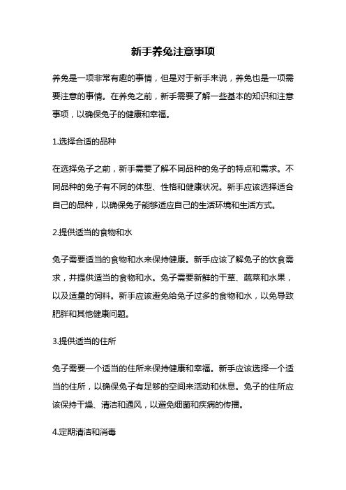 新手养兔注意事项