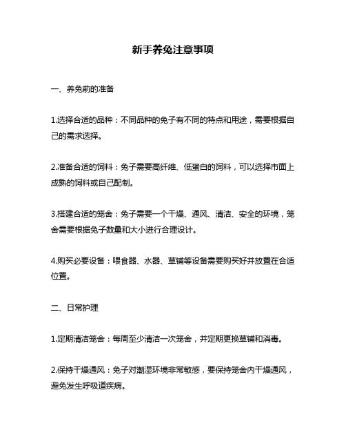 新手养兔注意事项