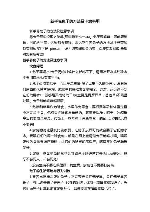 新手养兔子的方法及注意事项