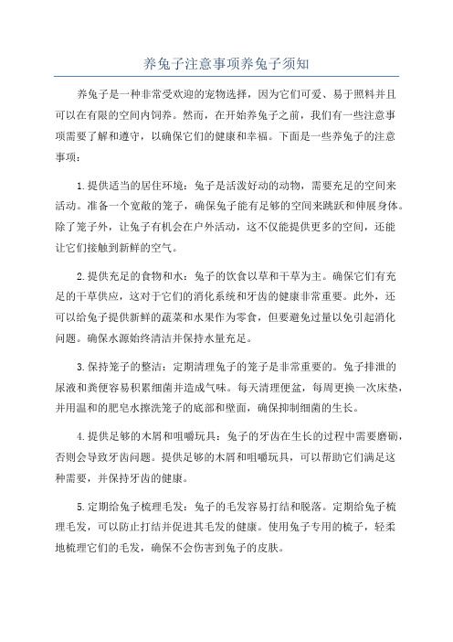 养兔子注意事项养兔子须知