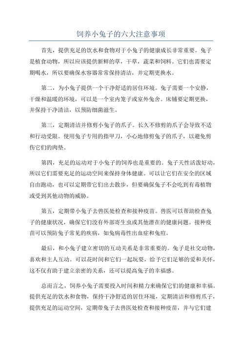 饲养小兔子的六大注意事项