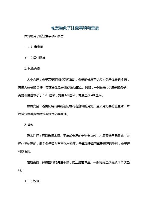 养宠物兔子注意事项和禁忌