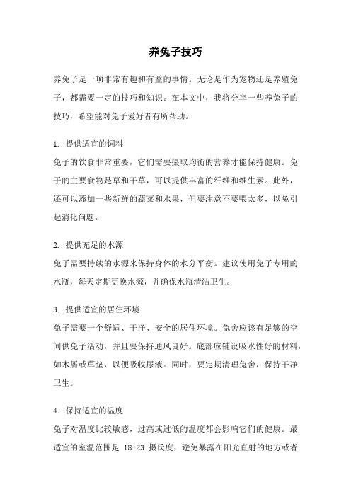 养兔子技巧