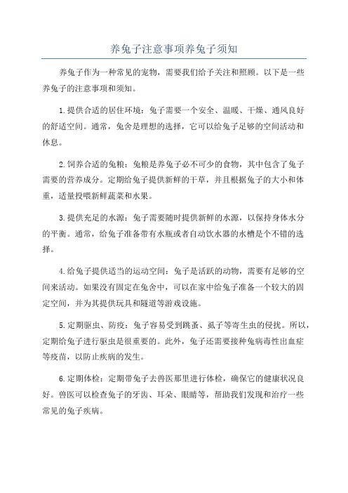养兔子注意事项养兔子须知
