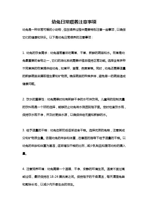 幼兔日常喂养注意事项