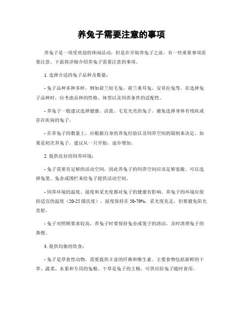 养兔子需要注意的事项