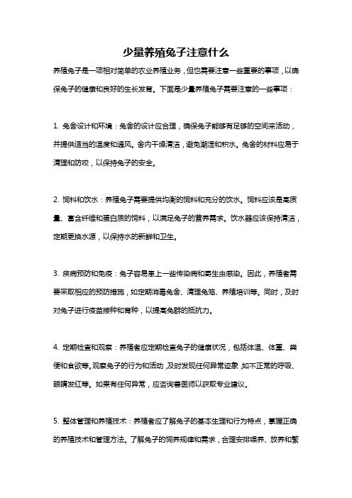 少量养殖兔子注意什么