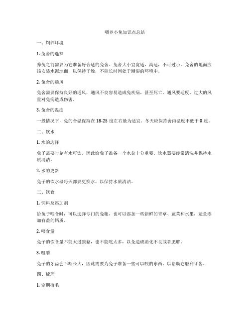 喂养小兔知识点总结