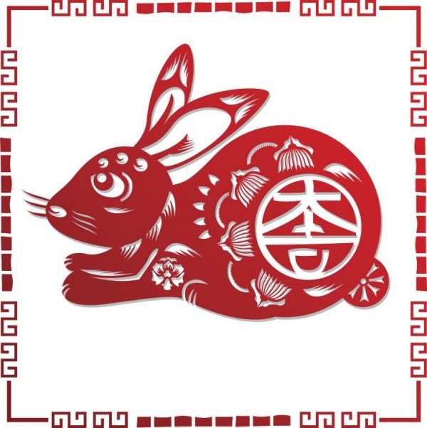 养兔子的方法和注意事项(如何照顾你的兔子) 第2张