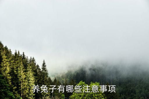 养兔子有哪些注意事项