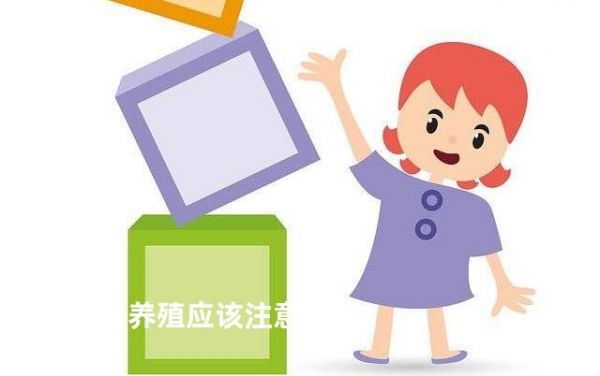 兔子养殖应该注意哪些