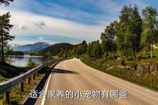 适合家养的小宠物有哪些