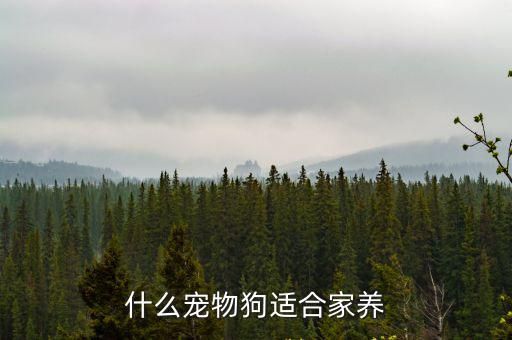 什么宠物狗适合家养