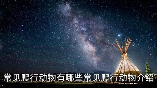常见爬行动物有哪些常见爬行动物介绍