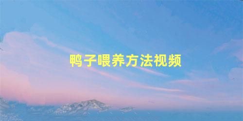 鸭子喂养方法视频