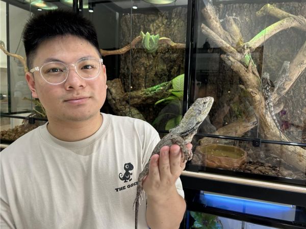屏东首家以两栖爬虫类为主的特殊宠物店，有蛇、蛙、蜥、龟、守宫等上百种品系，老板是年仅25岁的姜尹晟，他拥有8年的饲养与6年相关工作等经验。（谢佳潾摄）