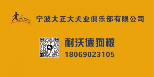 广告001.jpg
