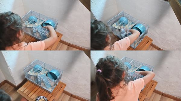 孩子在家中给宠物仓鼠喂食，展现了在温馨、充满爱的环境中对家庭宠物的关心和责任感。