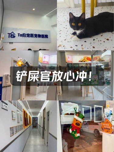 铲屎官放心冲！这家宠物医院太靠谱