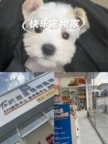 宠物医院咋的了？