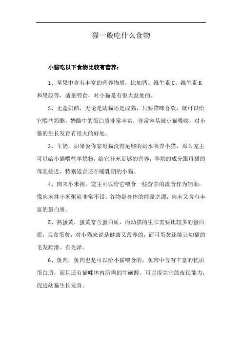 猫一般吃什么食物