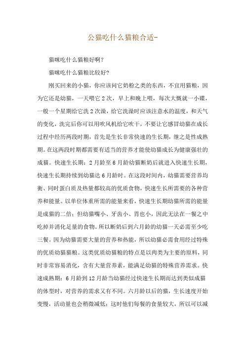 公猫吃什么猫粮合适--猫咪吃什么猫粮好啊？