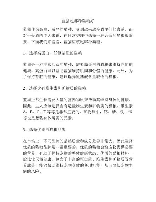 蓝猫吃哪种猫粮好