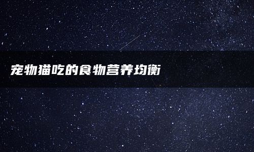 宠物猫吃的食物营养均衡
