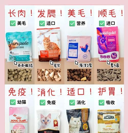 养猫时如何喂食营养均衡的猫粮？有哪些推荐？