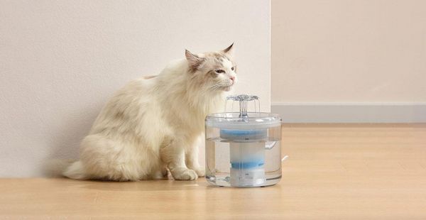 猫用饮水机