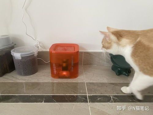 宠物饮水选择指南