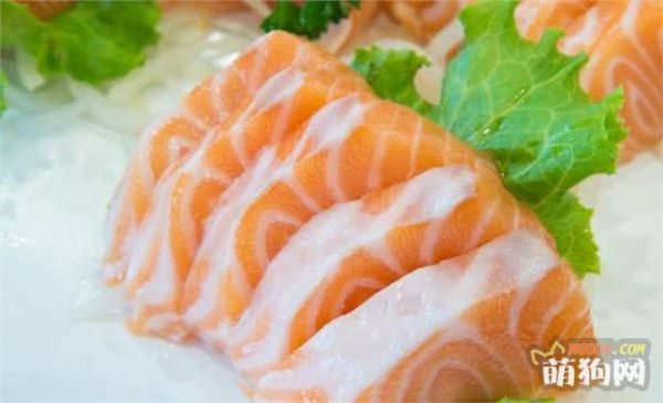 狗狗吃什么食物最好？三个“不要”请谨记！