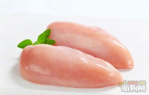 狗狗吃什么食物最好？三个“不要”请谨记！