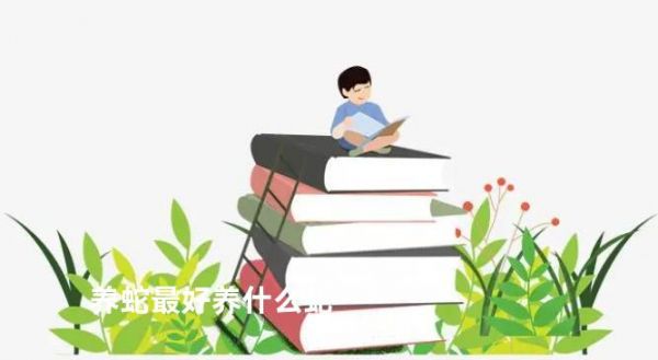 养蛇最好养什么蛇