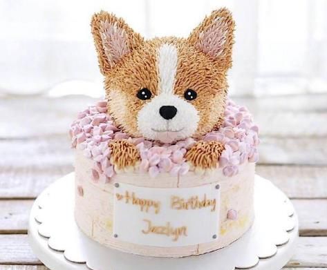 “宠物蛋糕DIY攻略，狗狗生日蛋糕做法分享”