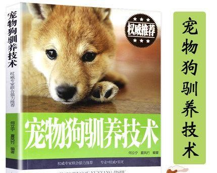 宠物护理必备（从喂食到保洁，关爱宠物从每个细节开始）