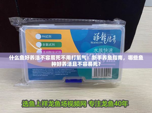 什么鱼好养活不容易死不用打氧气：新手养鱼指南，哪些鱼种好养活且不容易死？ 龙鱼百科 第1张