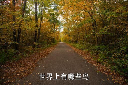世界上有哪些鸟