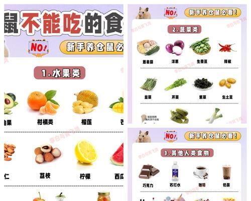 仓鼠宝宝的饮食指南（营养均衡让宝宝健康成长）