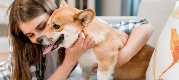 狗狗不吃饭的原因及应对方法（挑食狗狗的坏处与正确的喂养方式）
