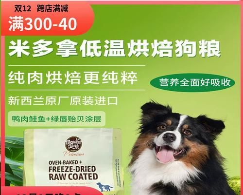 狗狗的饮食需求（为你的成年狗狗提供适当的饮食是多么重要）