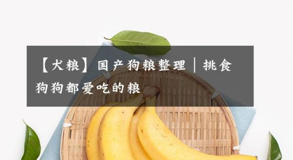 【犬粮】国产狗粮整理｜挑食狗狗都爱吃的粮文章配图