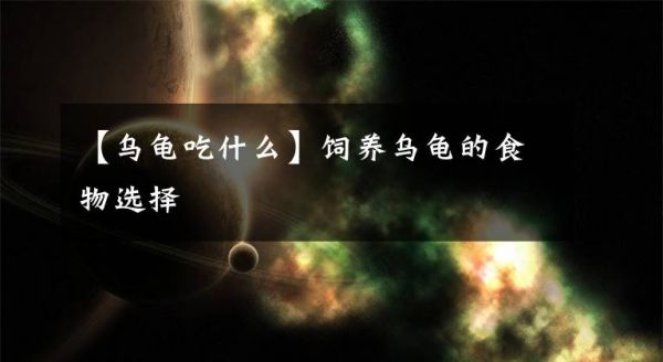 【乌龟吃什么】饲养乌龟的食物选择文章配图