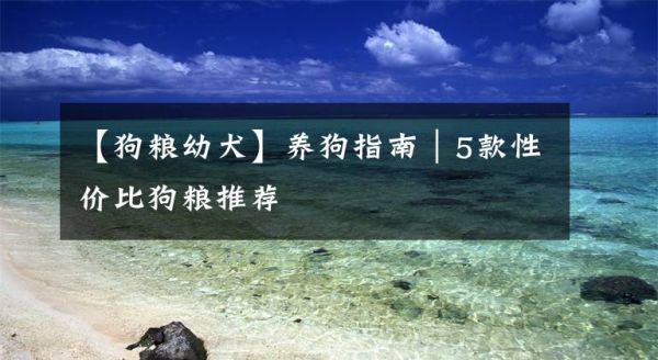 【狗粮幼犬】养狗指南｜5款性价比狗粮推荐文章配图