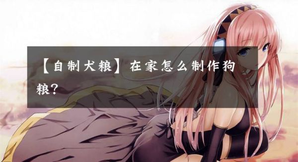 【自制犬粮】在家怎么制作狗粮？
